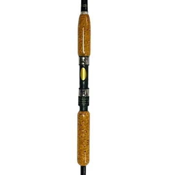 Blue Marlin Saltwater Fishing Rod and Reel Combo