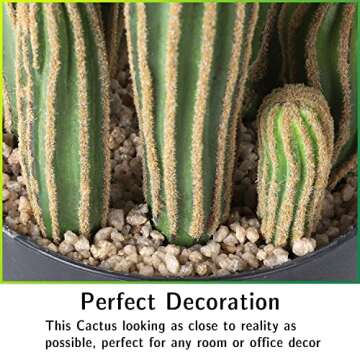 Buy AntHousePlant 24" Artificial Cactus for Home & Office