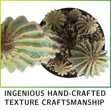 Buy AntHousePlant 24" Artificial Cactus for Home & Office