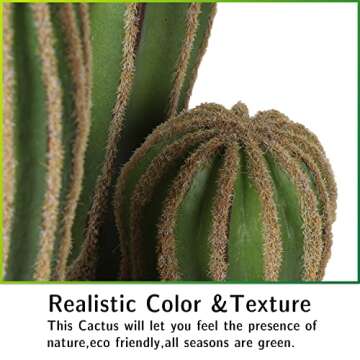 Buy AntHousePlant 24" Artificial Cactus for Home & Office
