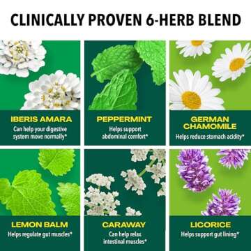 Iberogast Softgels, Herbal Relief of Stomach Upsets: Occasional Indigestion, Bloating, Gas, Nausea, Upset Stomach; 6-Herb Blend with Iberis Amara, Peppermint, Licorice, Lemon Balm; 30ct