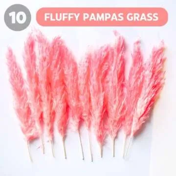 (10 Units) Candy Pink Pampas Grass Decor (17.5 inch) Hot Pink Pampas Grass Fluffy. Boho Dried Pink Pampas Grass Decor, Fuchsia Pampas in Bulk. by AlobyC® (Pink | 10 pcs | 17 inch)