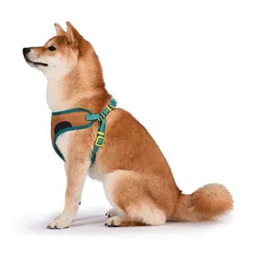 Warner Brothers Scooby-Doo Dog Harness - Soft, Comfortable Large Dog Harness - No Pull Tan and Blue