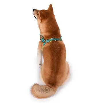 Warner Brothers Scooby-Doo Dog Harness - Soft, Comfortable Large Dog Harness - No Pull Tan and Blue