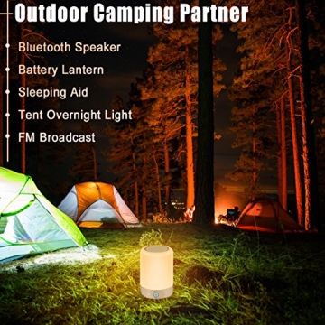 Multi-Color MRCOOL Night Light Bluetooth Speaker Bedside Lamp