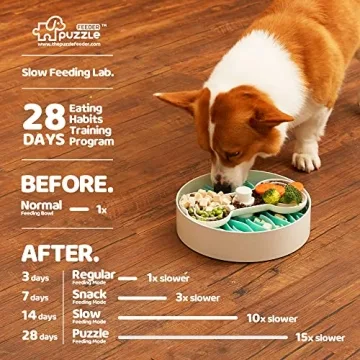 Puzzle Feeder Slow Feeder Dog Bowl for All Breeds