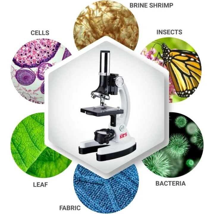 Beginner Microscope Kit for Kids - AmScope 1200X