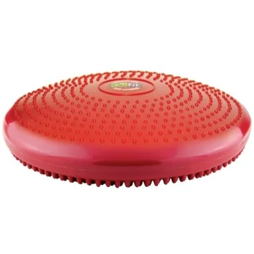 GoFit Core Stability Disk for Ab Workouts and Balance