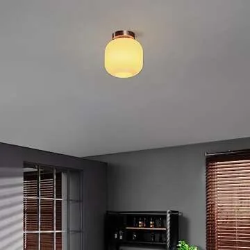 Globe Electric 66000079 Flush Mount Ceiling Light Fixture