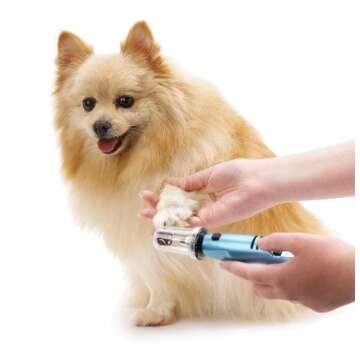 Oster Gentle Paws Less Stress Dog and Cat Nail Grinder, 2 Speed (078129-600-000)