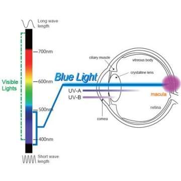 EYES PC Blue Light Blocking Screen Protector Panel for 16,15.6,15.4, 15 inch Universal Laptop Monitor (W 13.75" X H 9.00”) Up to 100 percent for Eye Protection Health
