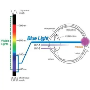 EYES PC Blue Light Blocking Screen Protector Panel for 16,15.6,15.4, 15 inch Universal Laptop Monitor (W 13.75" X H 9.00”) Up to 100 percent for Eye Protection Health