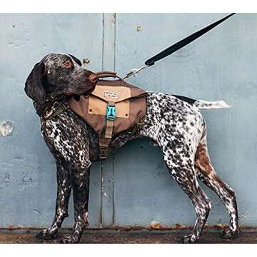 Outward Hound Denver Urban Pack Dog Backpack, Large, XL