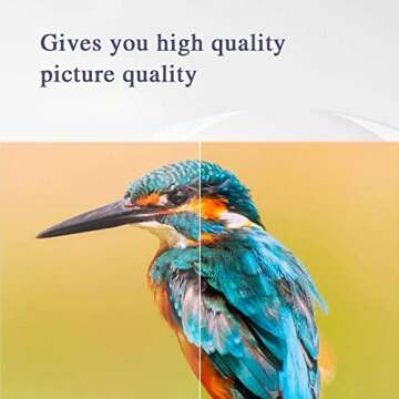 Mini Video Projector 1080P Portable with USB & Phone Compatibility