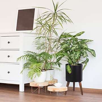 D'vine Dev 10 Inch Mid-Century Planter Pot with Legs - Stylish Indoor Plant Holder for Modern Homes