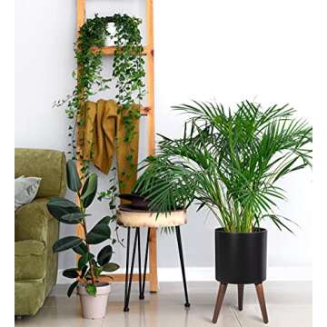 D'vine Dev 10 Inch Mid-Century Planter Pot with Stand