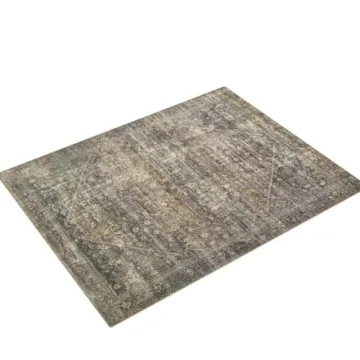 Loloi Amber Lewis Morgan Area Rug - Spice/Lagoon Style