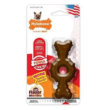 KONG Dog Chew Bundle with Squeaker Bear & Nylabone Chew