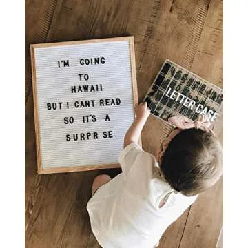 Original Letter Board Organizer Case to Organize & Store Your Alphabet Letters with 40 Individual Grids for Every Number, Letter and Special Character for Felt or Magnetic Changeable Letter Boards