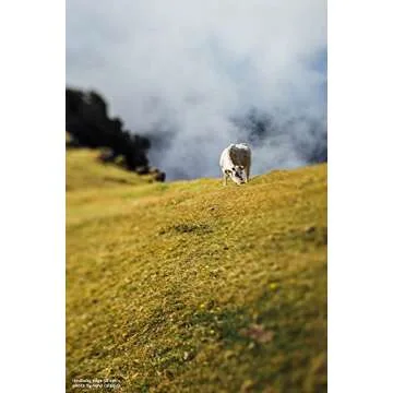 Lensbaby LB-3U5F Composer Pro II with Edge 50 Lens for Fuji X Camera