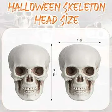 Boao 10 Pieces Halloween Skeleton Head Small Mini Skulls for Halloween Party Decoration Props, Table Decor