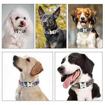 Moonpet Personalized Dog Collar with Custom Engraving