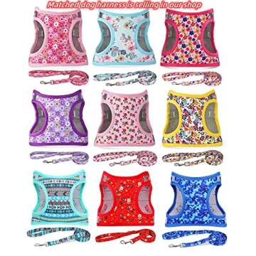 Moonpet Personalized Dog Collar with Custom Engraving