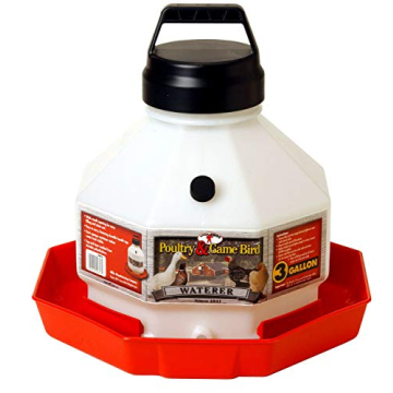 Little Giant Poultry Waterer | Gravity Fed Design | 3 Gallons