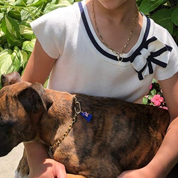 Turandoss 14K Gold Plated CZ Oval Link Necklace