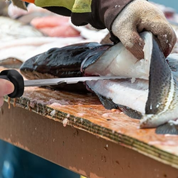 Mossy Oak 4pc Fishing Tool Kit for Anglers - Complete Gear Set