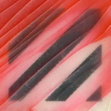 Regular Gel Matte by GOLDEN - Professional Acrylic Medium