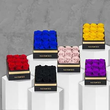 NATROSES Forever Preserved Roses in a Box, 100% Real Roses That Last Up to 3 Years, Flowers for Delivery Prime Birthday, Valentines Day Gifts for Her, Birthday Gifts (Dusty Rose)