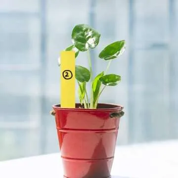 Colorful Plant Labels for Organization & Garden Management