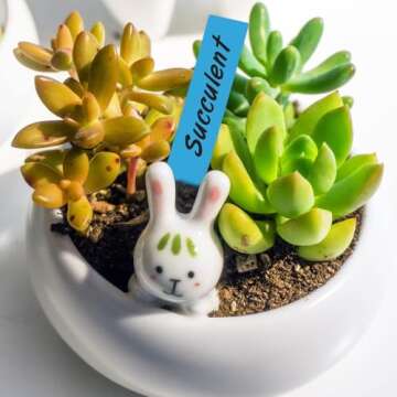 KINGLAKE 500 Pcs 5 Colors 2X10CM Plastic Waterproof Garden Plant Tags Nursery Garden Labels Markers Plant Stakes,Box of 500