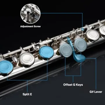 Quality POGOLAB Nickel Plated Flute for Beginners & Players