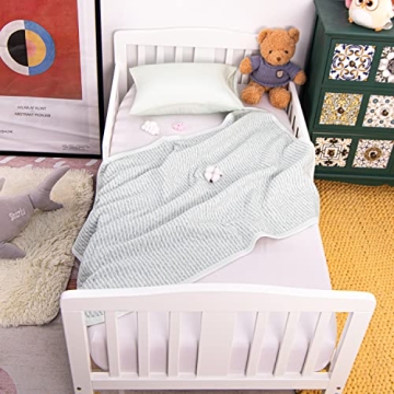 Soft NTBAY Toddler Blanket for All Seasons Comfort 30x40