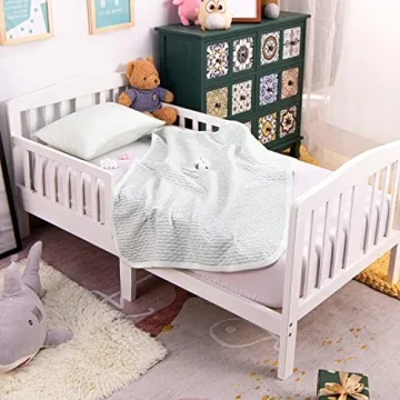 Soft NTBAY Toddler Blanket for All Seasons Comfort 30x40