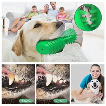 Durable Dog Chew Toy for Dental Care and Play