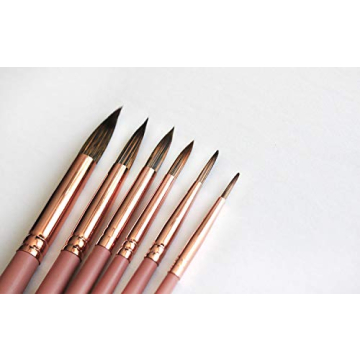 Wonder Forest Premium Synthetic Watercolor Brush Set, Set of 6 Pointed Round Artist Paint Brushes, Sizes 2, 4, 6, 8, 10 and 12