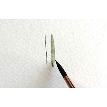 Wonder Forest Premium Synthetic Watercolor Brush Set, Set of 6 Pointed Round Artist Paint Brushes, Sizes 2, 4, 6, 8, 10 and 12