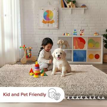 nuLOOM Neva Modern 4x6 Tasseled Shag Area Rug