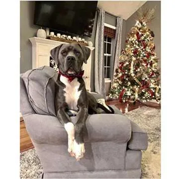 Unique Bowtie Dog Collar for Stylish Pets Online