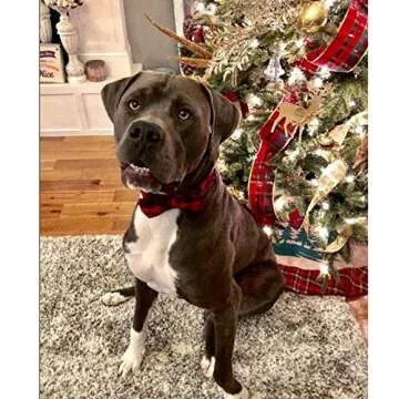 Unique Bowtie Dog Collar for Stylish Pets Online