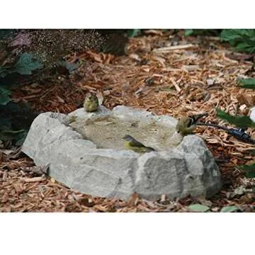 Birds Choice Rocky Mountain Ground Bird Bath - Great Water Source for Birds - 24.75"L x 17.5"W x 4.75"H
