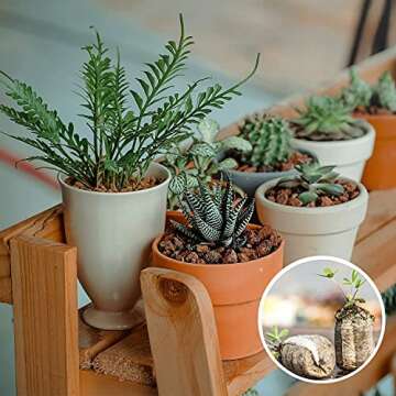 ZeeDix 50pcs 50mm Peat Pellets, Compressed Seed Starter Soil Peat Plugs Peat Pods Seed Starter Potting Soil Peat Moss Pellets Seed Pods for Planting Flowers Herbs and Vegetables