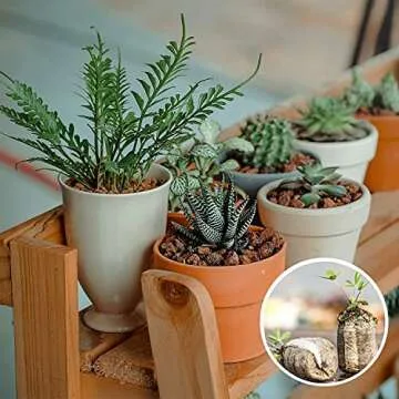 ZeeDix 50pcs 50mm Peat Pellets, Compressed Seed Starter Soil Peat Plugs Peat Pods Seed Starter Potting Soil Peat Moss Pellets Seed Pods for Planting Flowers Herbs and Vegetables