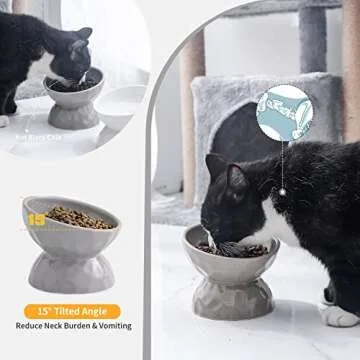 AOMRYOM Raised Cat Food Bowl, Ceramic Elevated Tilted Cat Bowls for Food and Water, Pet Bowl Dish Set for Cats and Small Dogs, Protect Cat's Spine, White & Grey, Set of 2