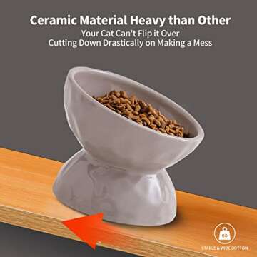 AOMRYOM Raised Cat Food Bowl, Ceramic Elevated Tilted Cat Bowls for Food and Water, Pet Bowl Dish Set for Cats and Small Dogs, Protect Cat's Spine, White & Grey, Set of 2