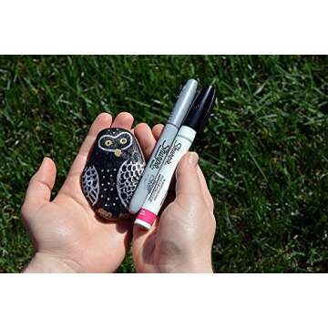 Sharpie Oil-Based Paint Markers, Medium Point, Assorted & Metallic Colors, 5 Count - Great for Rock Painting