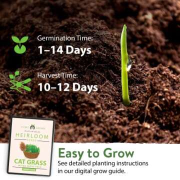 HOME GROWN 1 Pound Cat Grass Seeds for Indoor Cats & Pets - Ready to Eat in 7 Days - Quick & Easy to Grow, Cat Grass for Digestion & Hairballs, 100% Non-GMO Heirloom Oat Barley Seeds